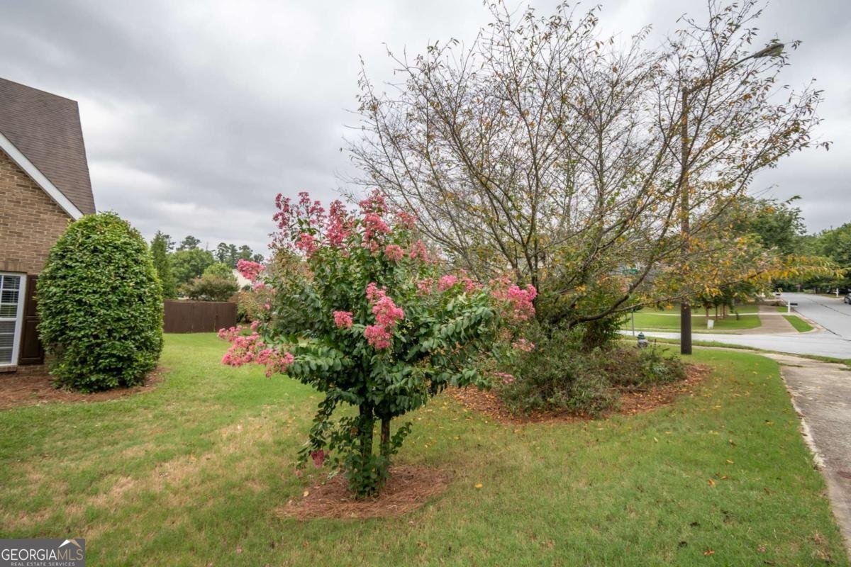 240 Bowden Lane Athens - 3