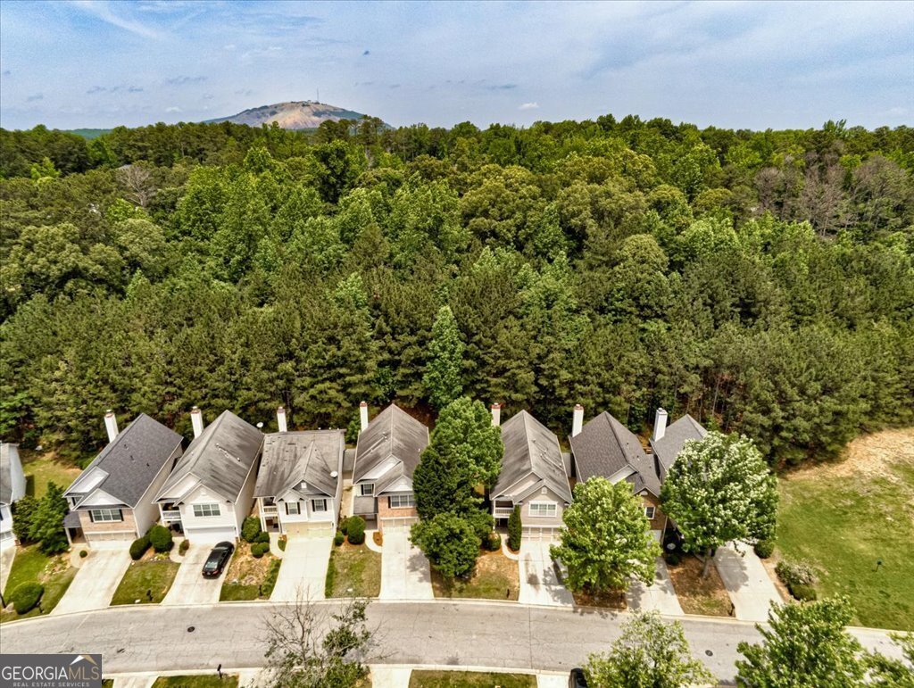 737 Shadow Lake Drive Lithonia - 3