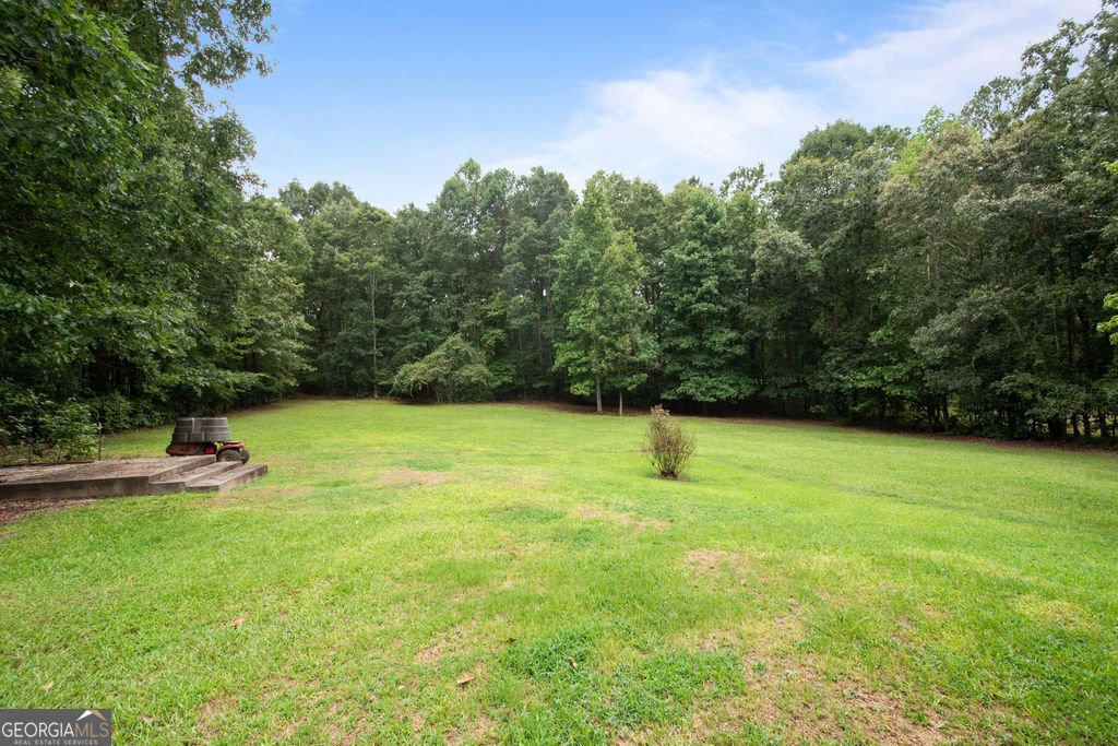 20 Golfview Ct Senoia - 21