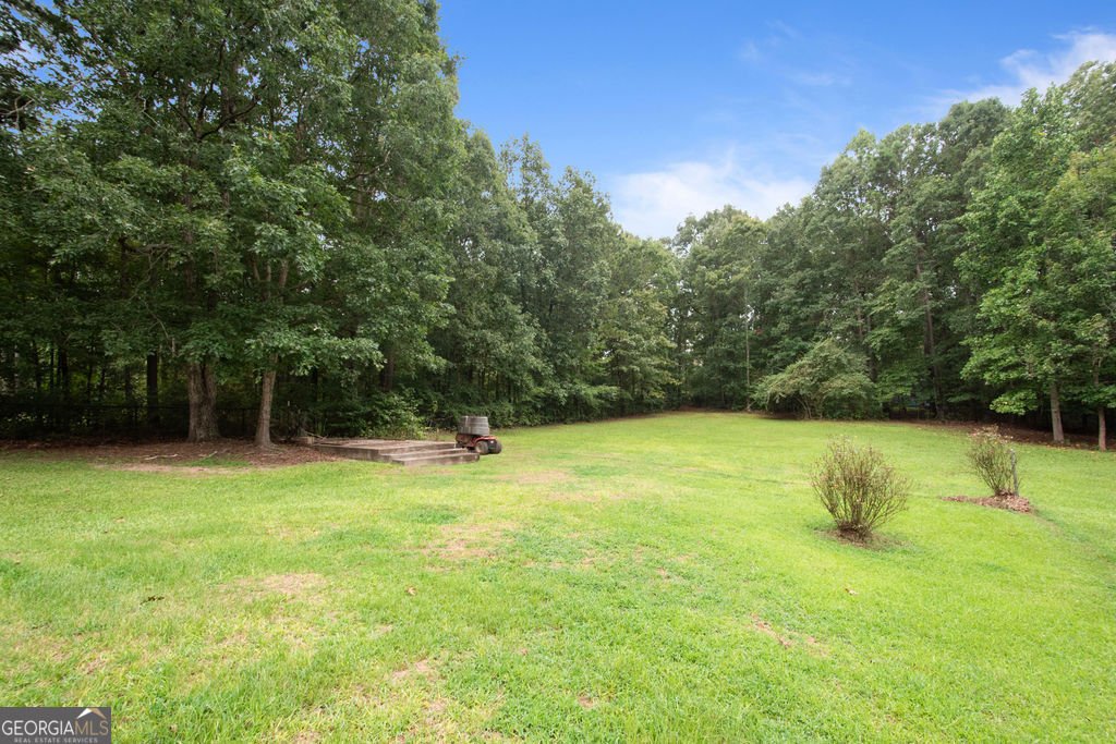 20 Golfview Ct Senoia - 23