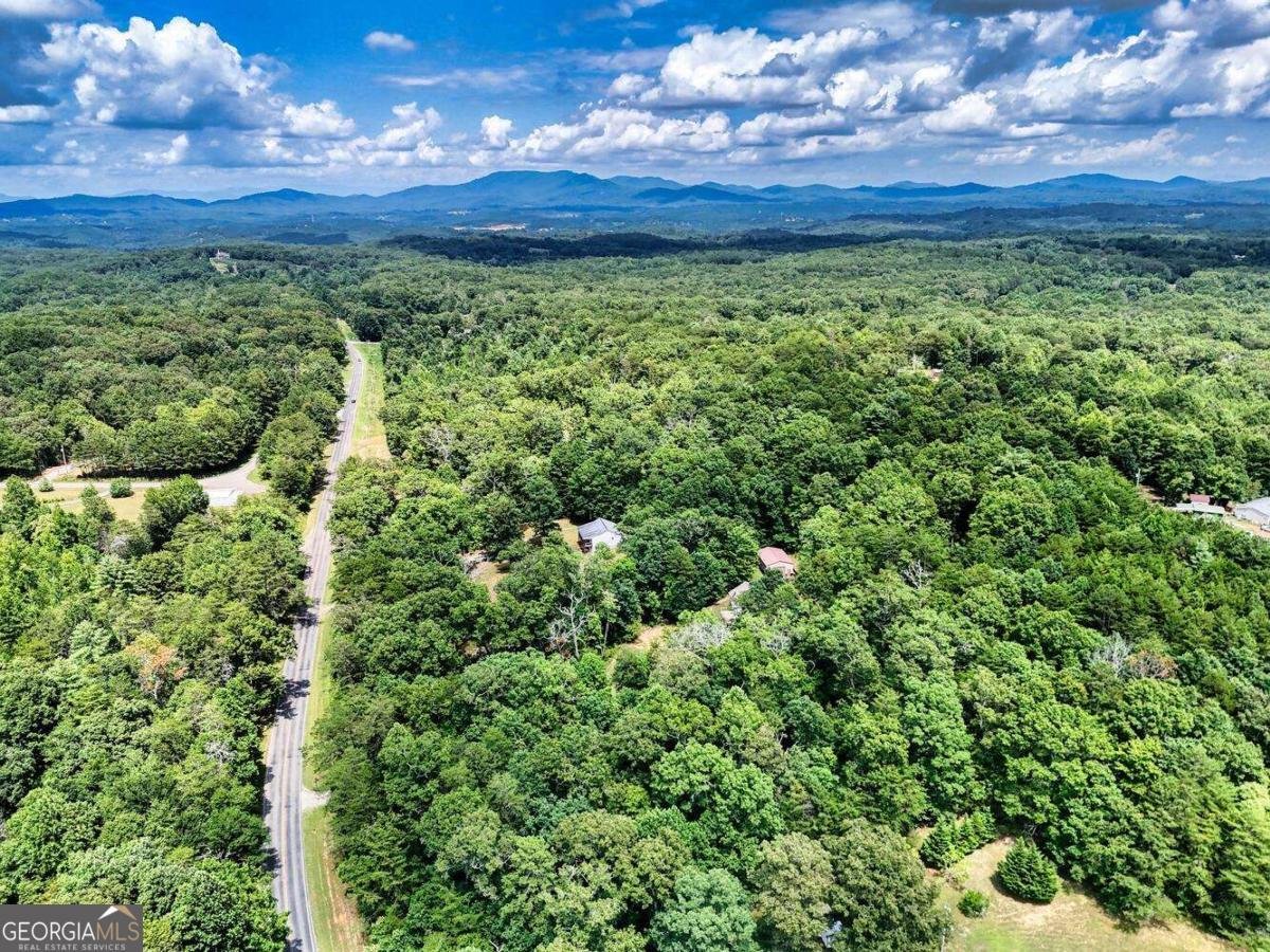 4165 Mobile Road Mccaysville - 39