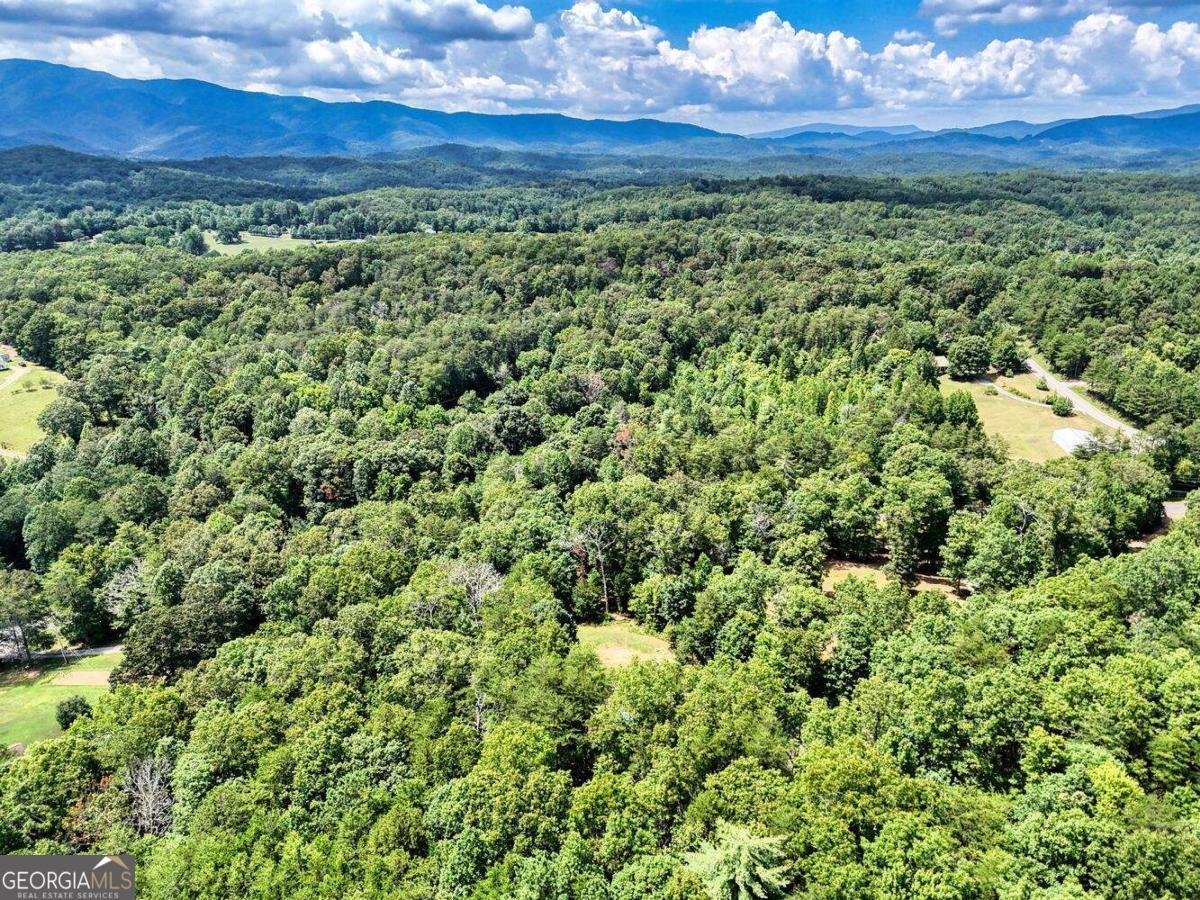 4165 Mobile Road Mccaysville - 47