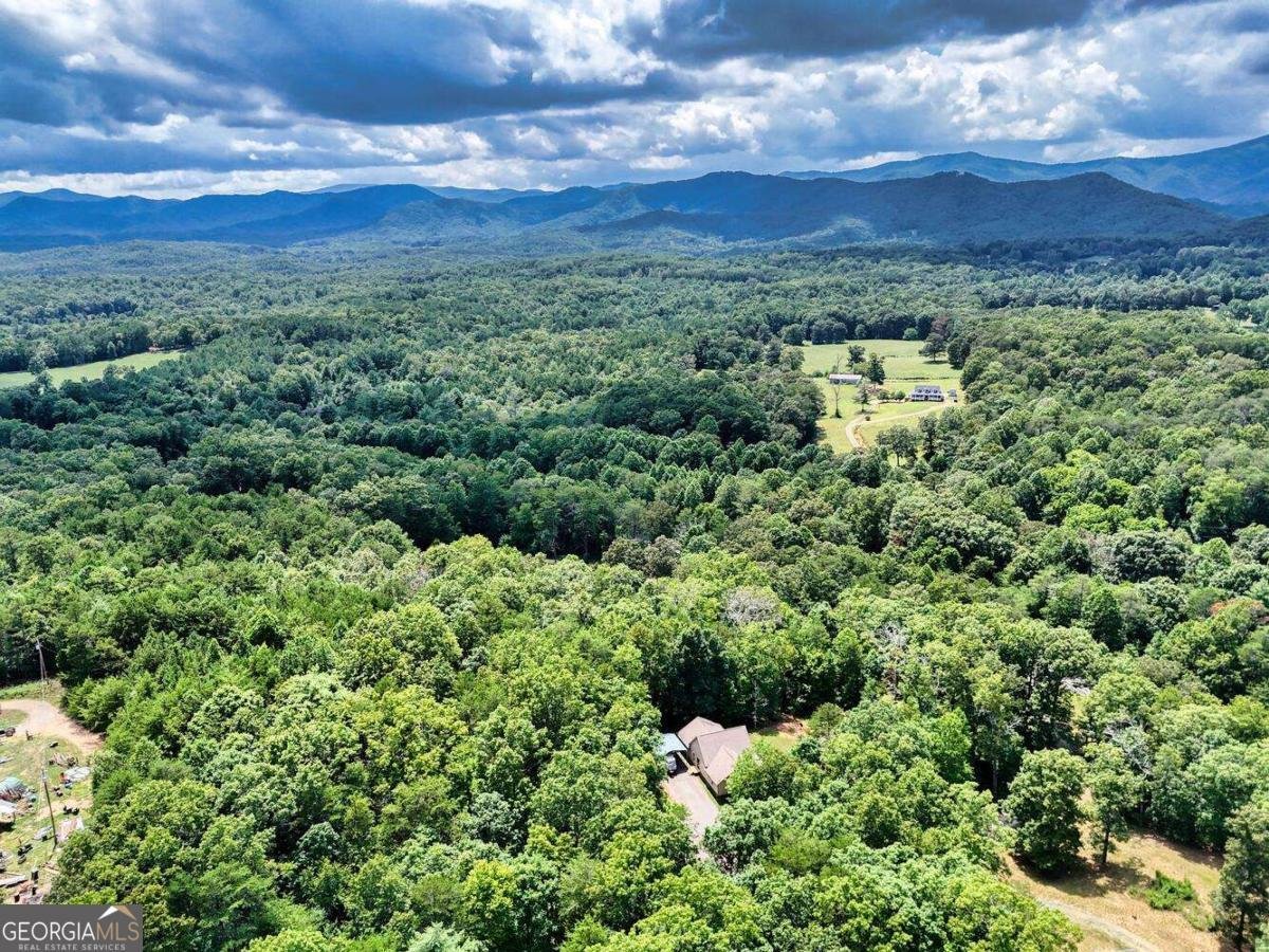 4165 Mobile Road Mccaysville - 48