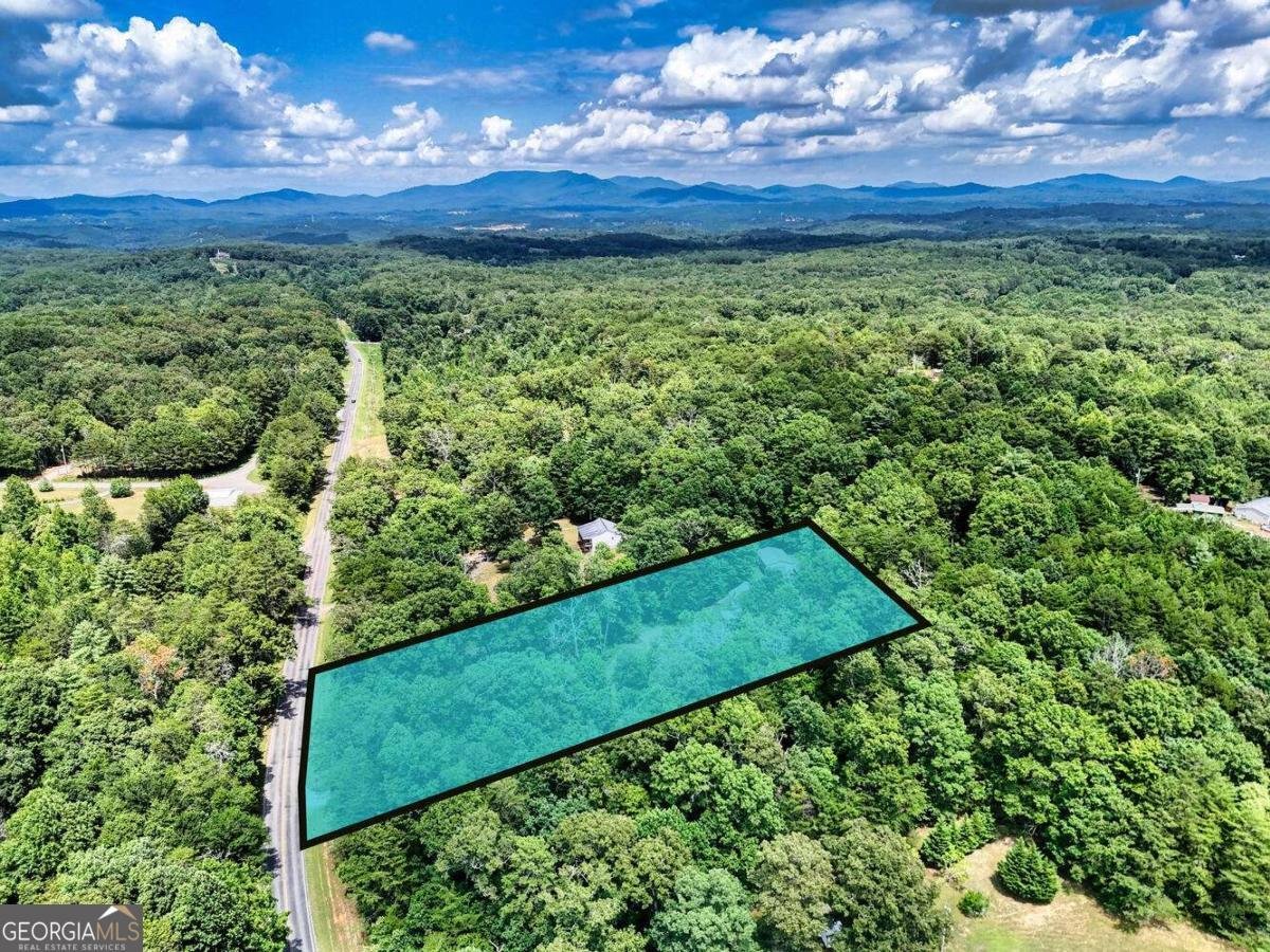 4165 Mobile Road Mccaysville - 51