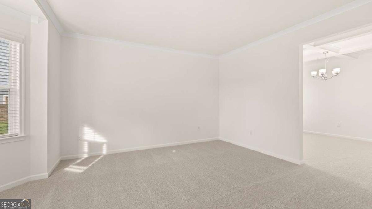 13921 Homer Lane Covington - 18