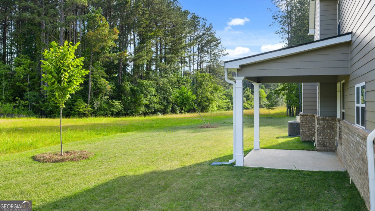 13921 Homer Lane Covington - 52