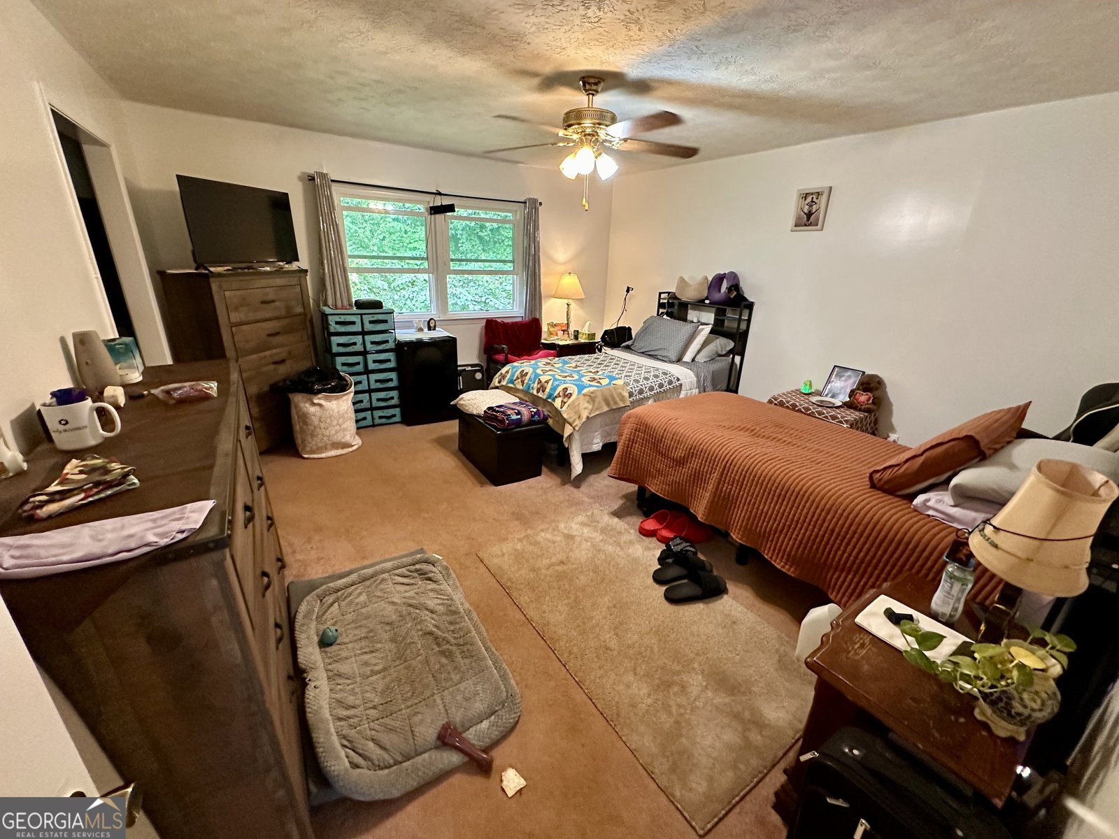 3275 Wintercreeper Drive Lithonia - 21