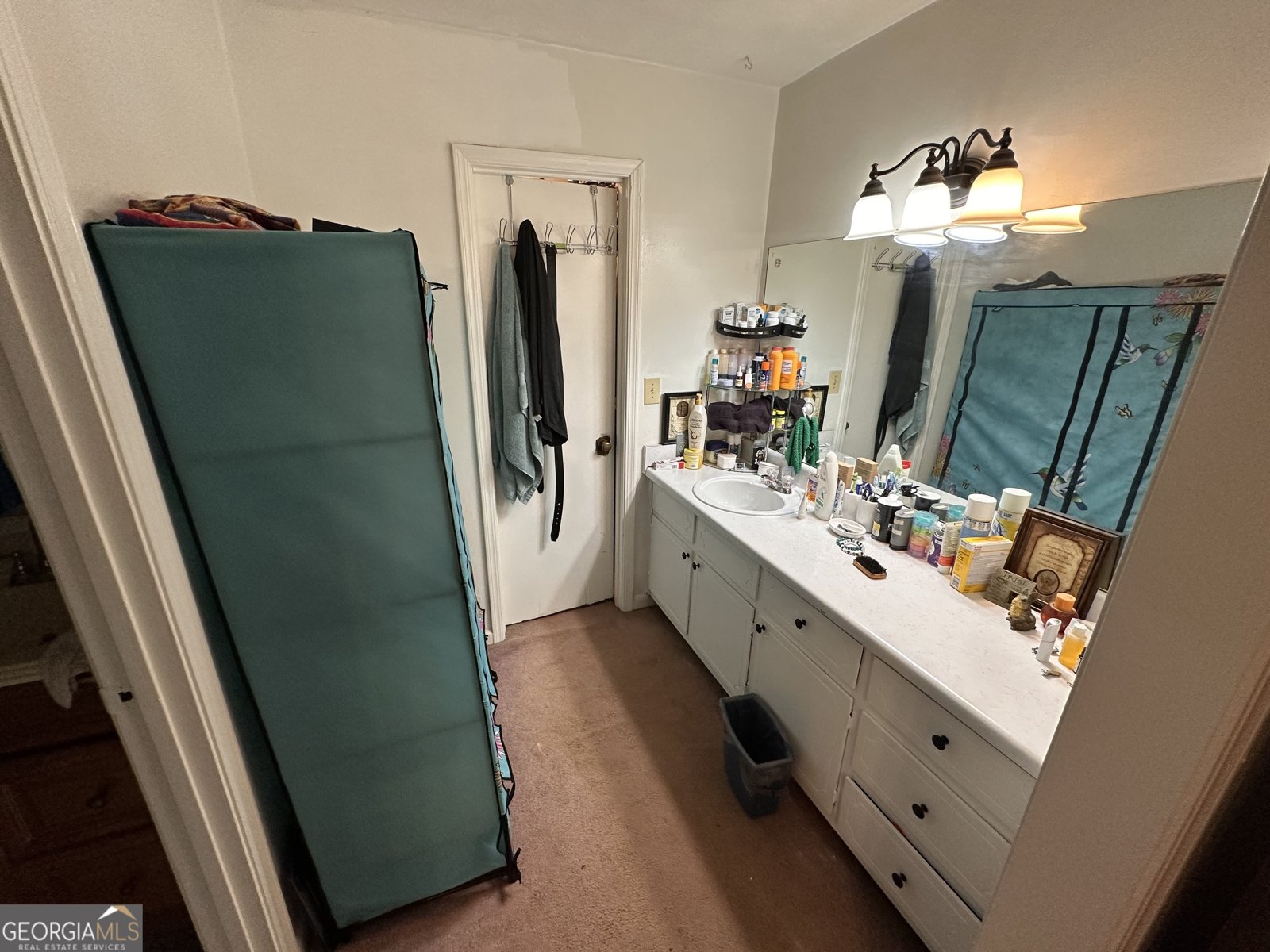 3275 Wintercreeper Drive Lithonia - 22