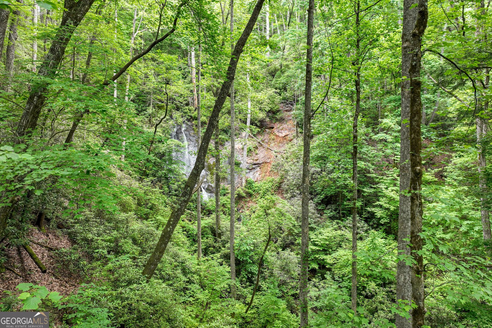 2001 Chimney Mountain Flats Trail Clarkesville - 12