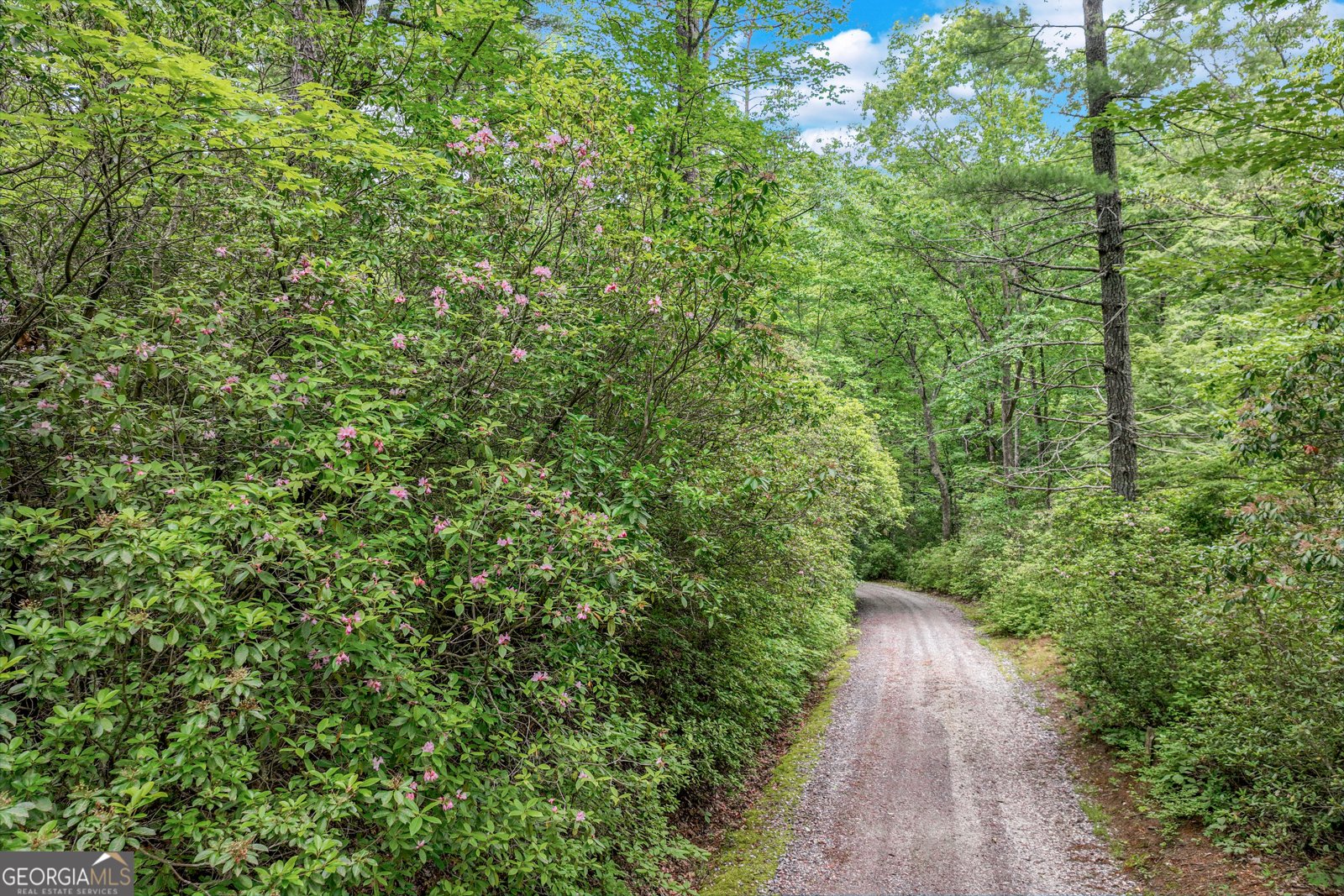 2001 Chimney Mountain Flats Trail Clarkesville - 13