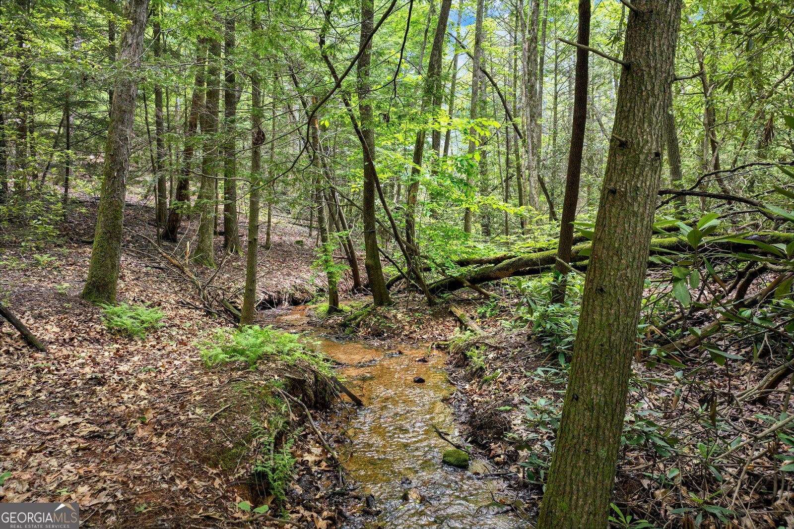 2001 Chimney Mountain Flats Trail Clarkesville - 18