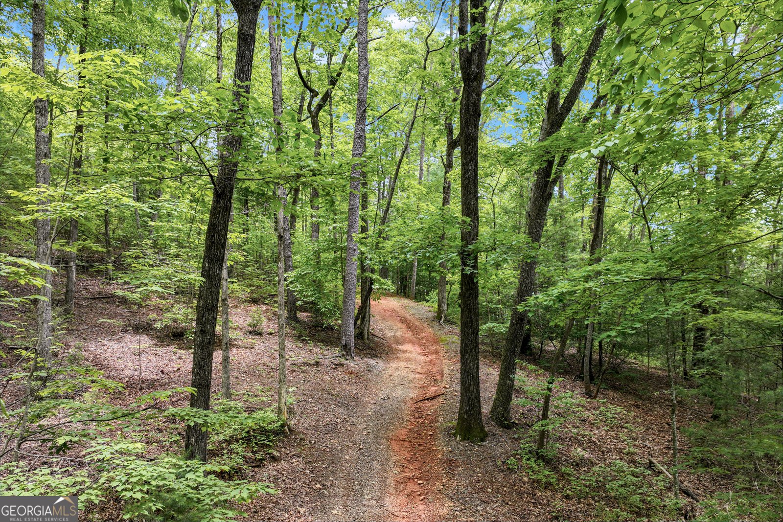 2001 Chimney Mountain Flats Trail Clarkesville - 7