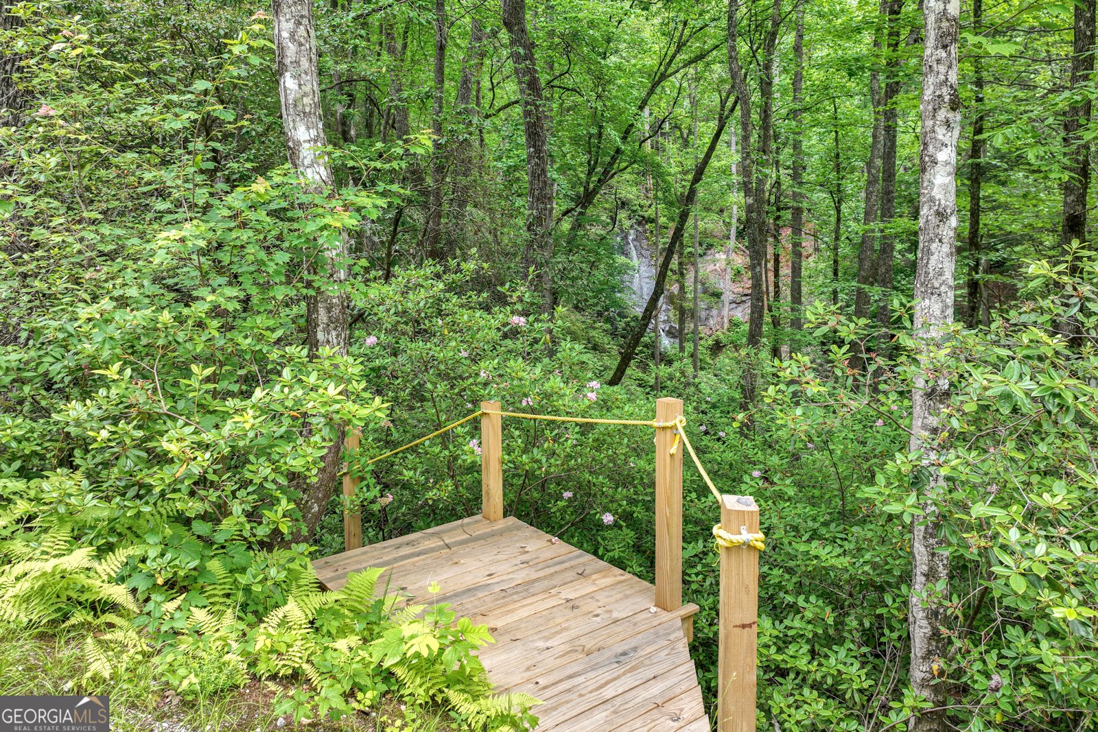 2001 Chimney Mountain Flats Trail Clarkesville - 9