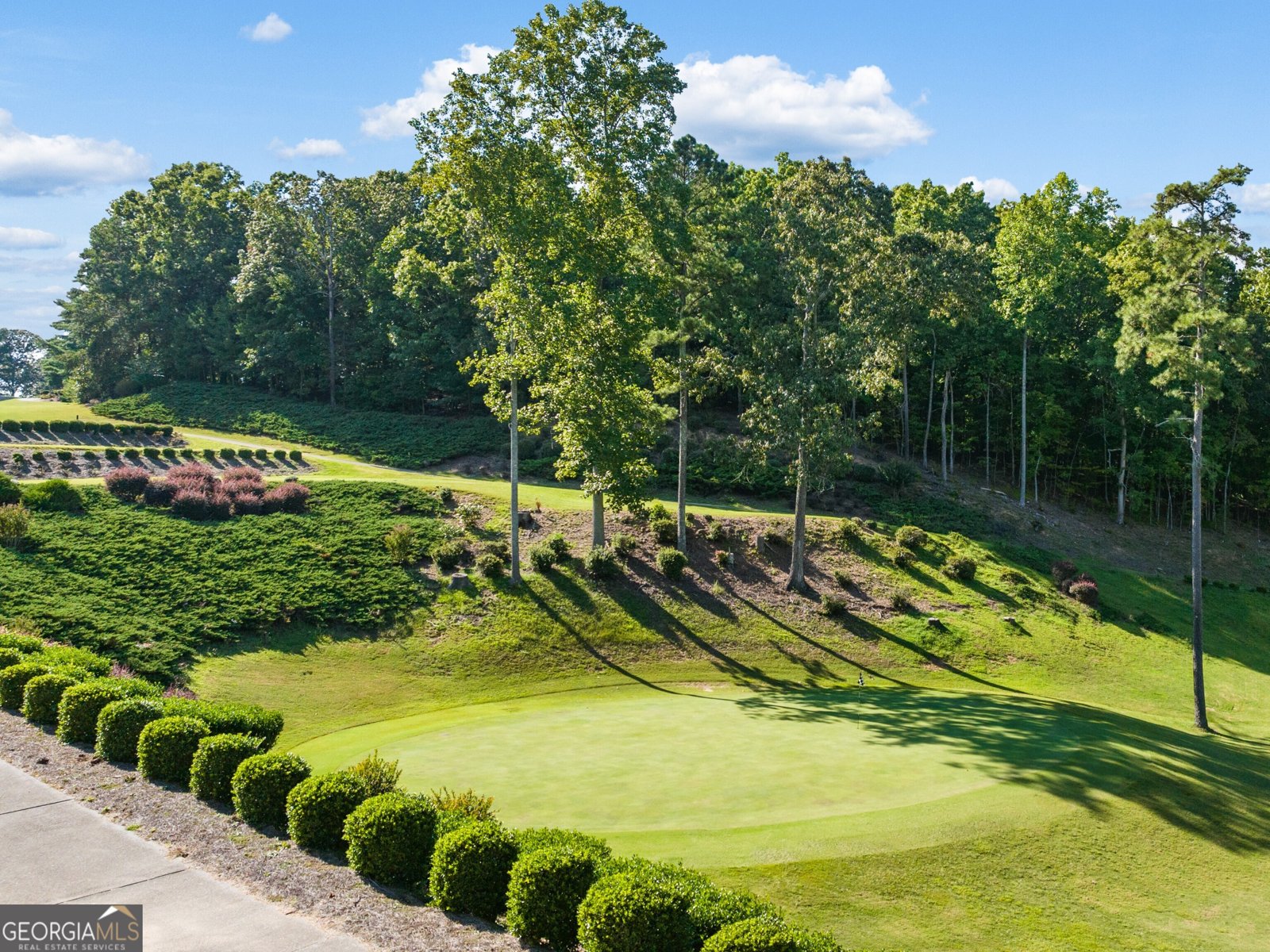 162 Landsdowne Way Cartersville - 24
