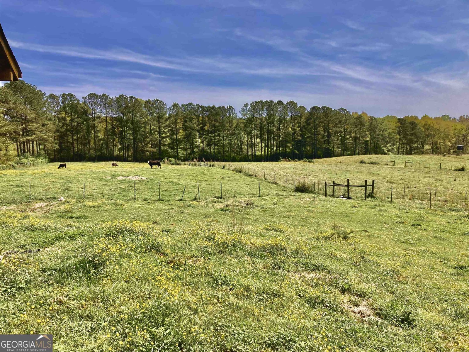 243 Ralls Road Hogansville - 35