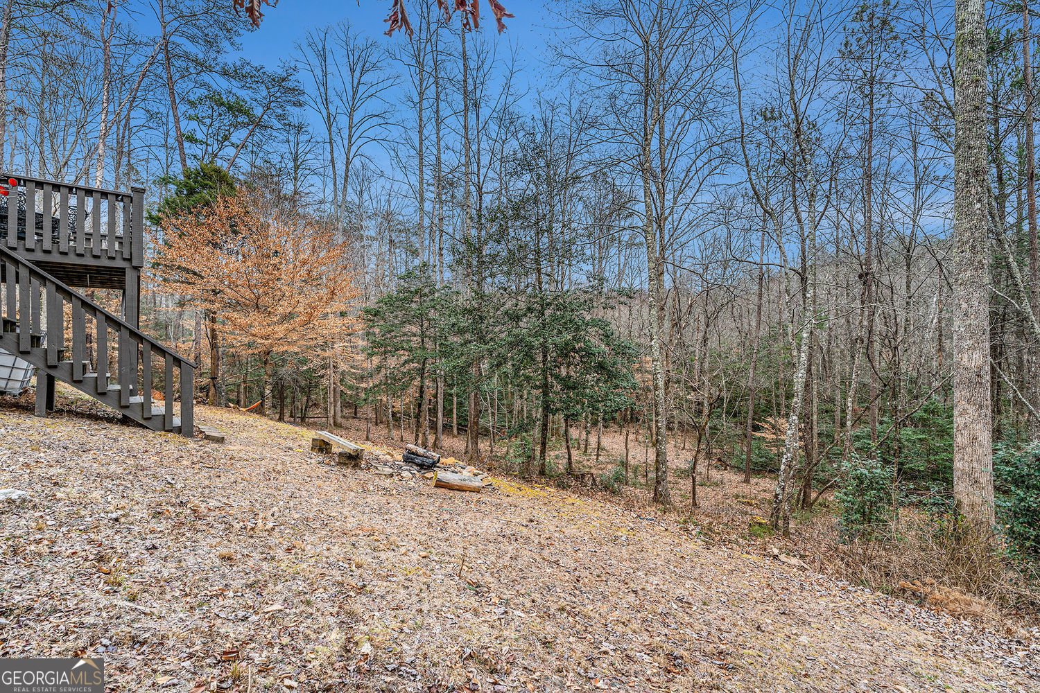 533 Mangums Trail Blue Ridge - 24
