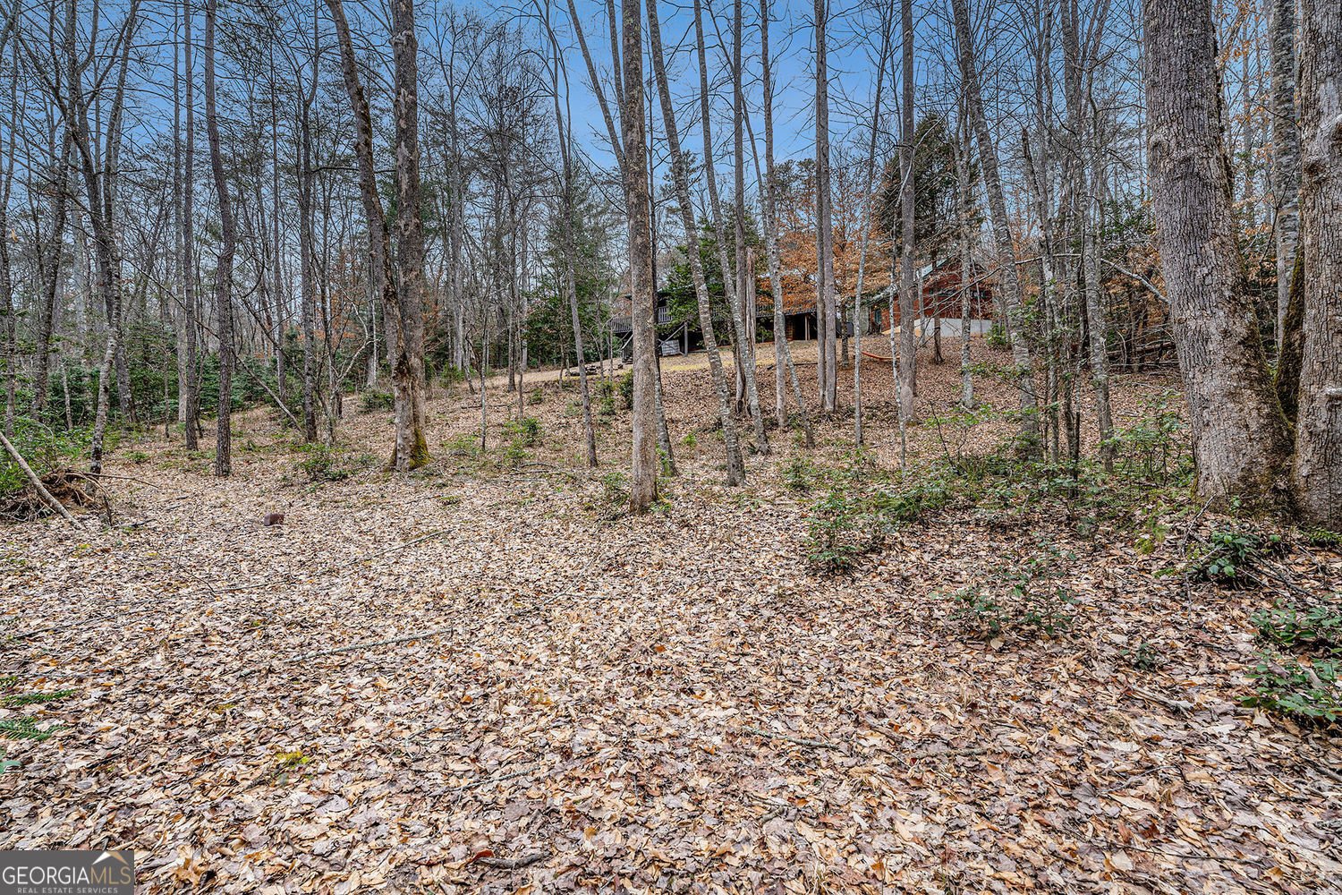 533 Mangums Trail Blue Ridge - 25