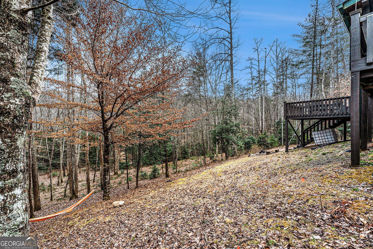 533 Mangums Trail Blue Ridge - 5