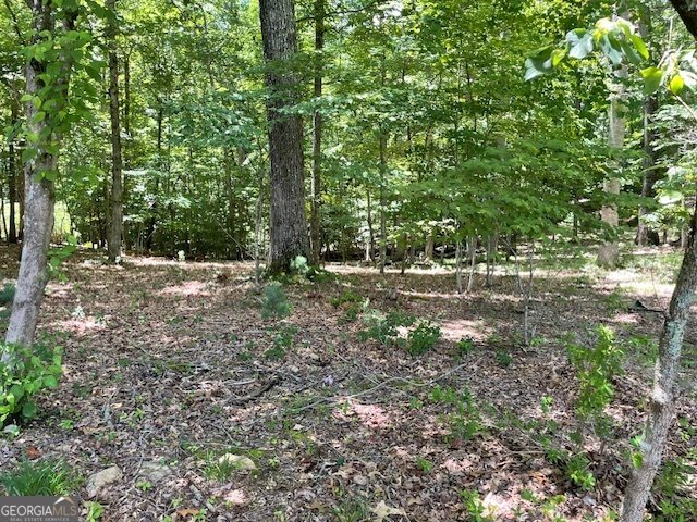 283 Coosa Way Blairsville - 2