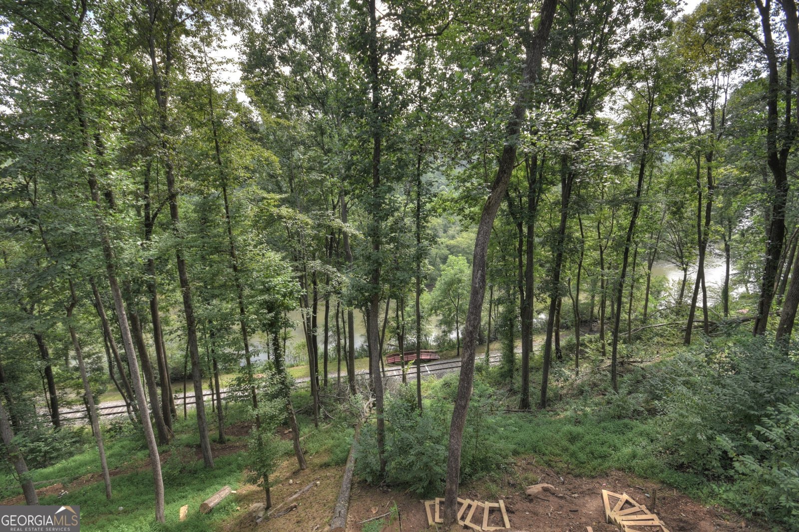 271 Toccoa Preserve Court Blue Ridge - 20