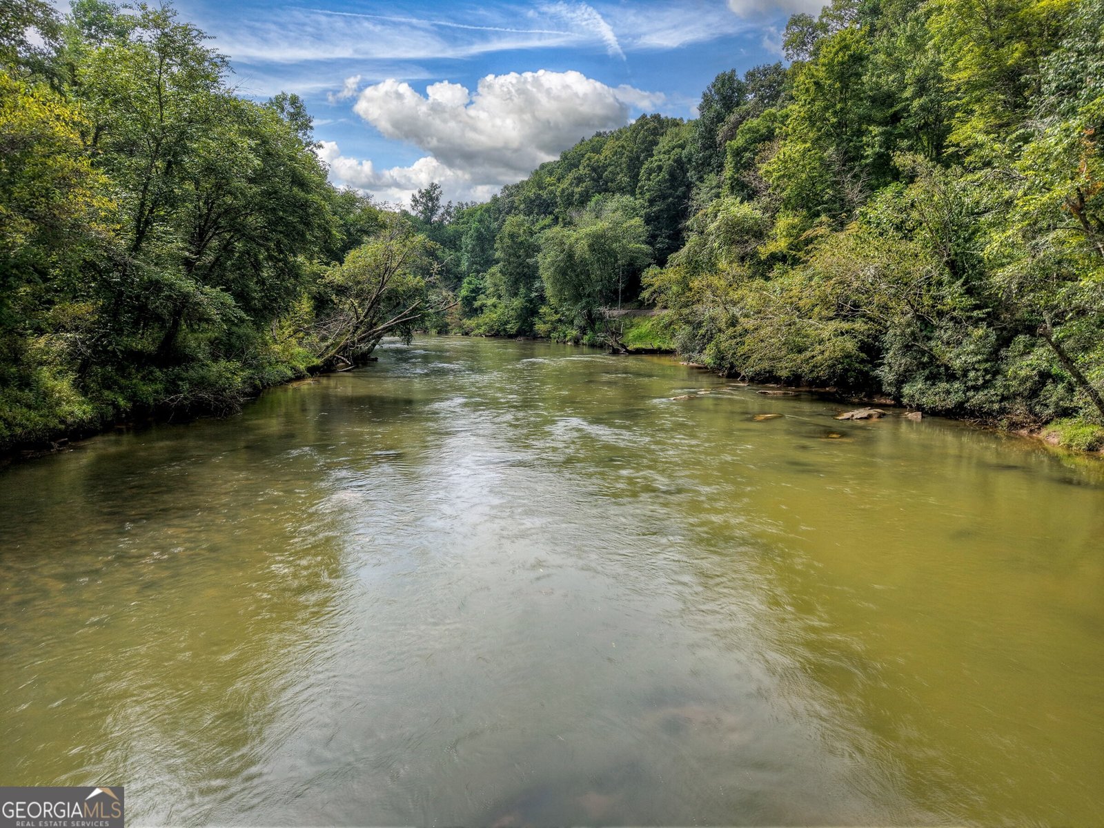 271 Toccoa Preserve Court Blue Ridge - 3