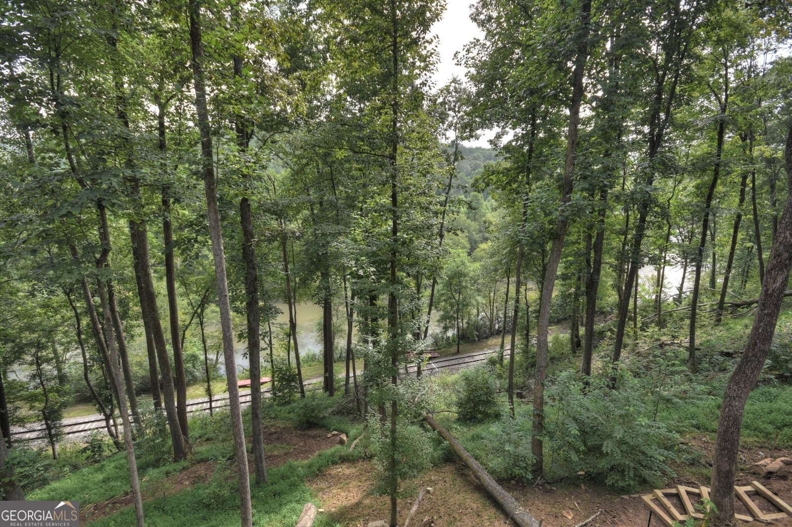 271 Toccoa Preserve Court Blue Ridge - 5