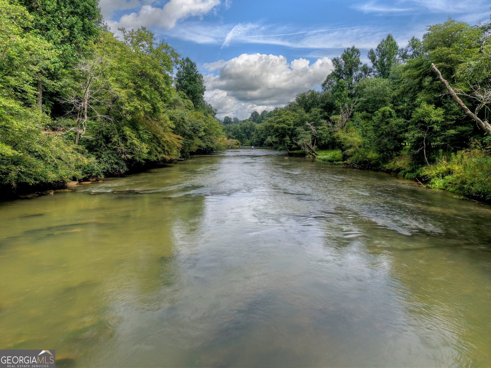 271 Toccoa Preserve Court Blue Ridge - 55