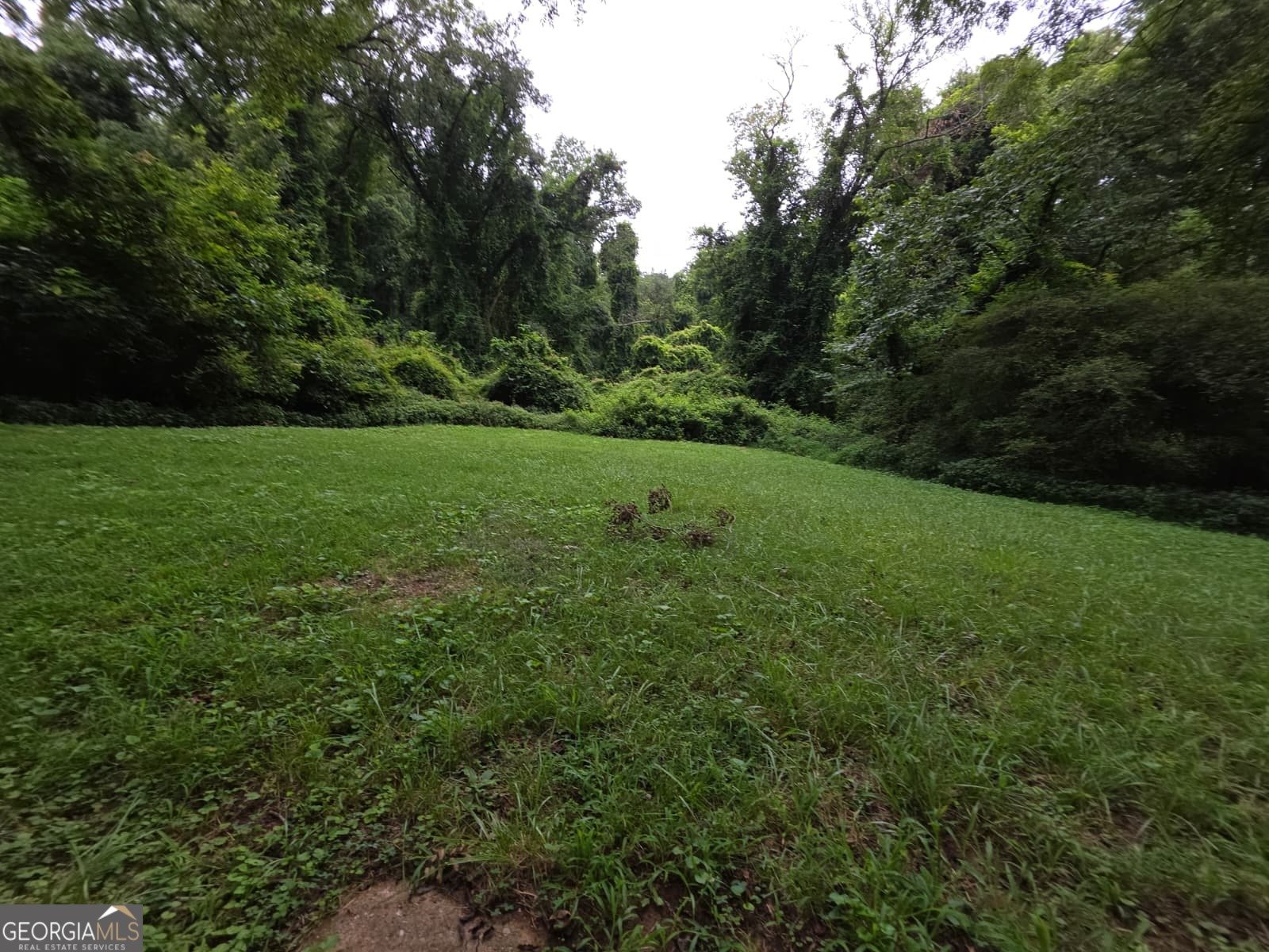 2168 Rhinehill Road Atlanta - 3