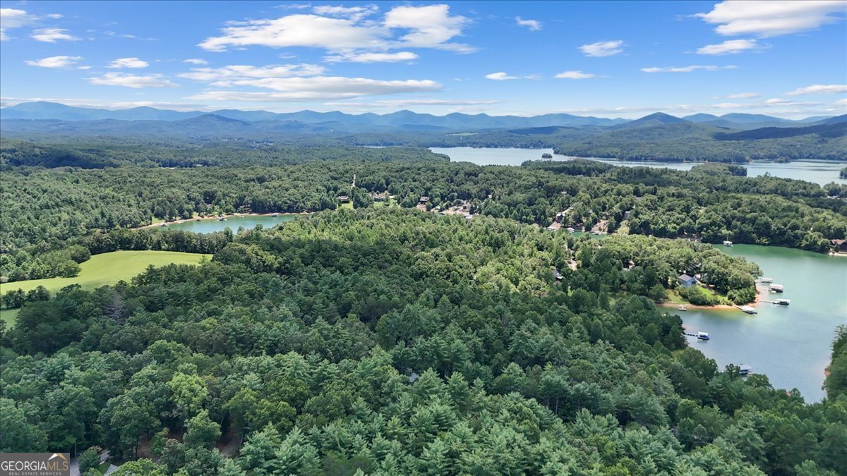89 Whisper Cove Blairsville - 42