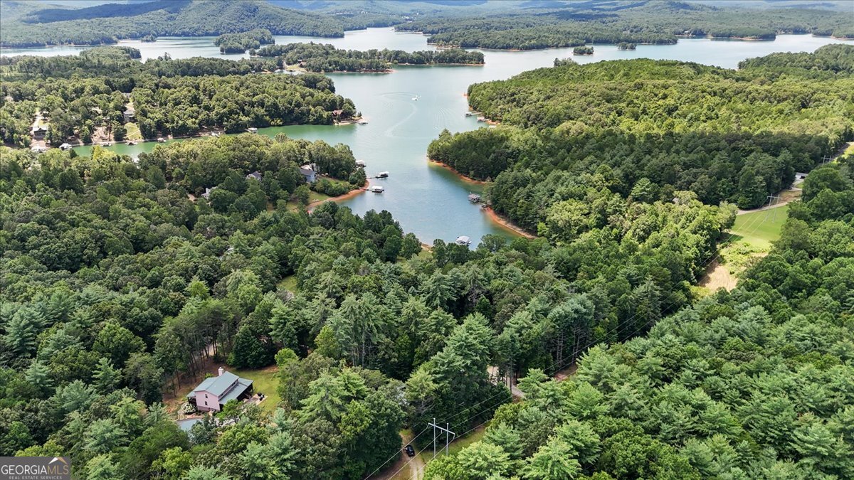 89 Whisper Cove Blairsville - 44