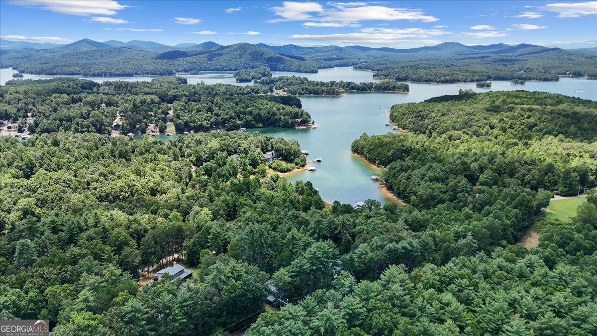 89 Whisper Cove Blairsville - 47