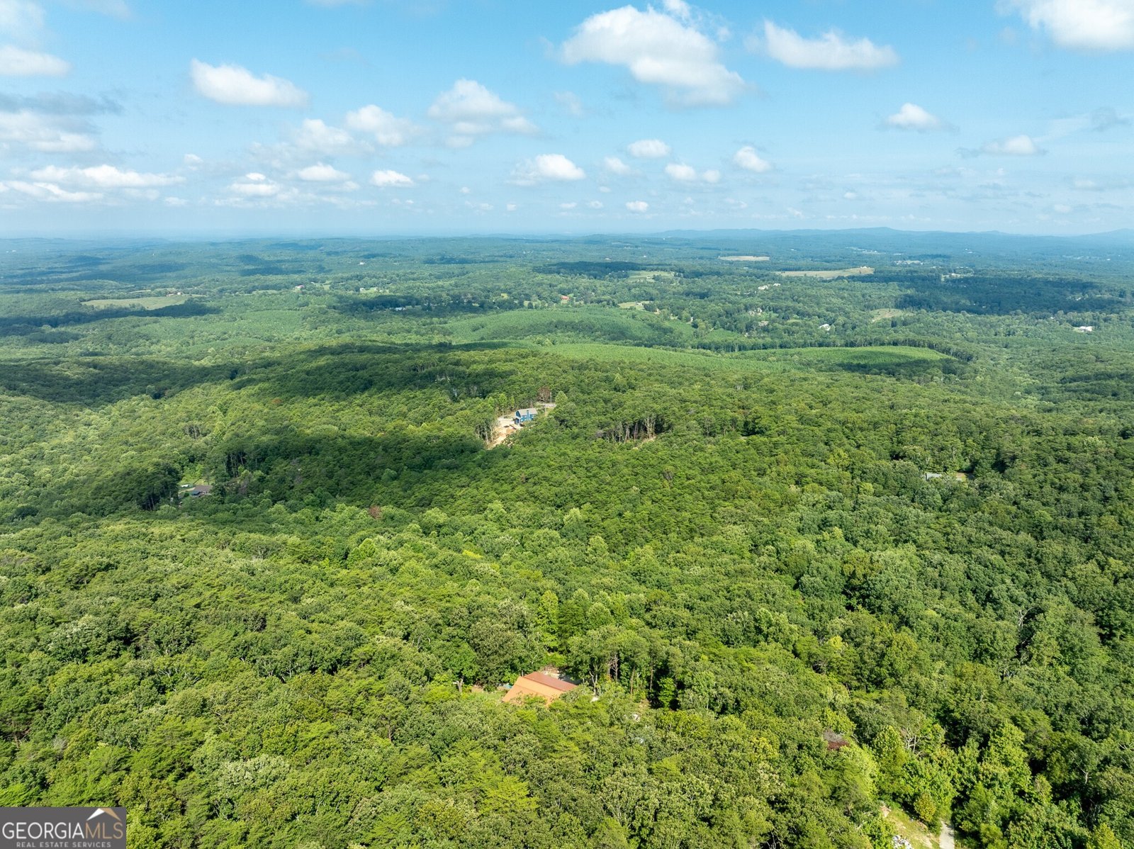 1688 Mulberry Circle Jasper - 45