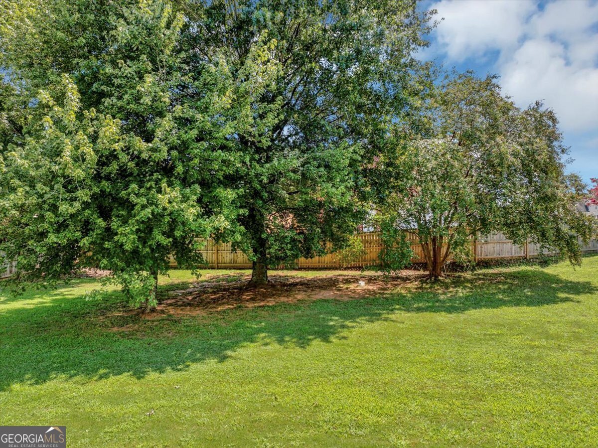 646 Autumn Leaf Circle Mcdonough - 38