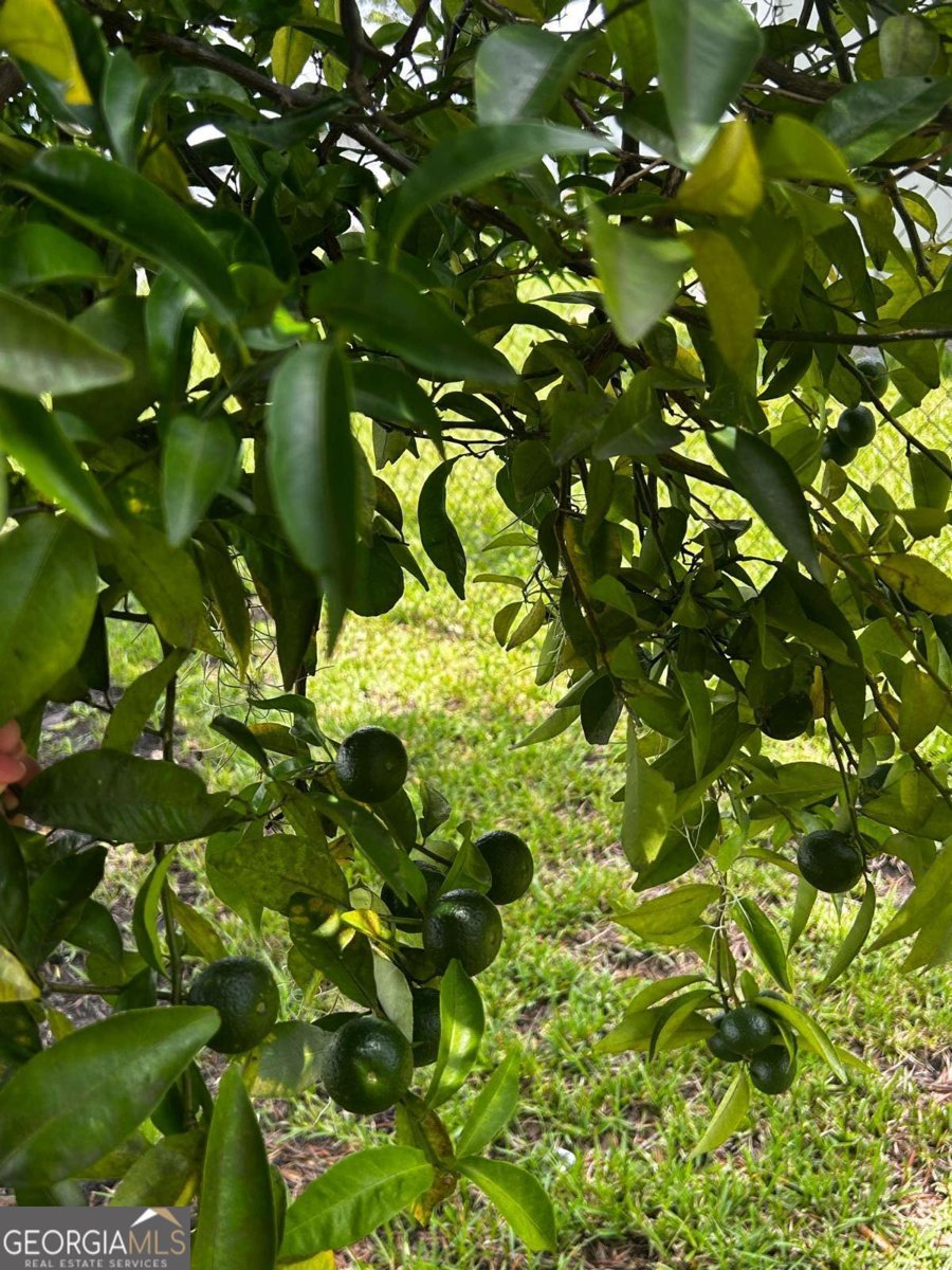 25 Jefferson Road Hoboken - 34