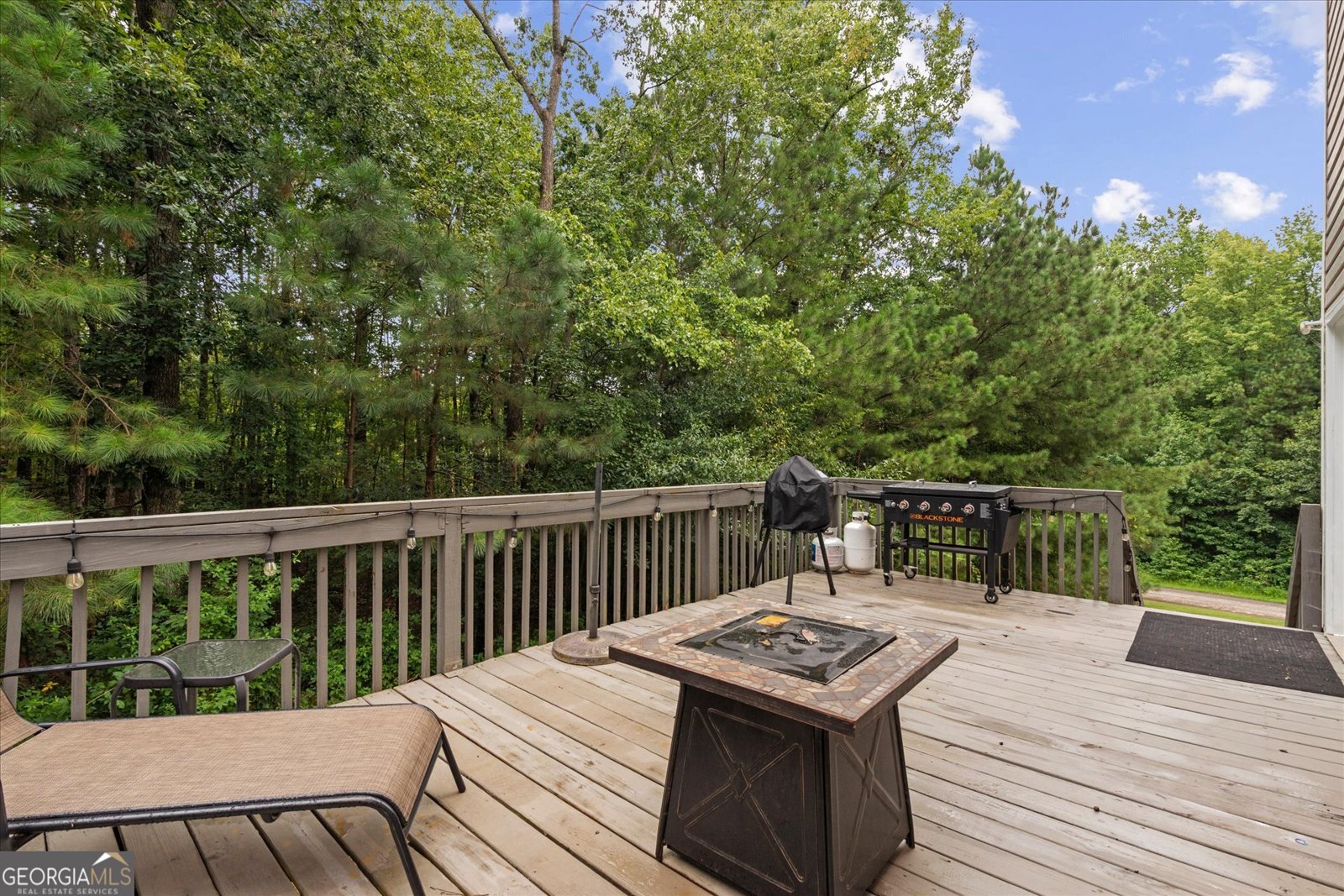 176 Oak Leaf Drive Carrollton - 19