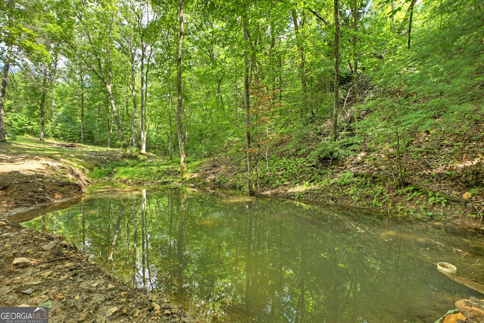 785 Wehunt Road Blue Ridge - 4