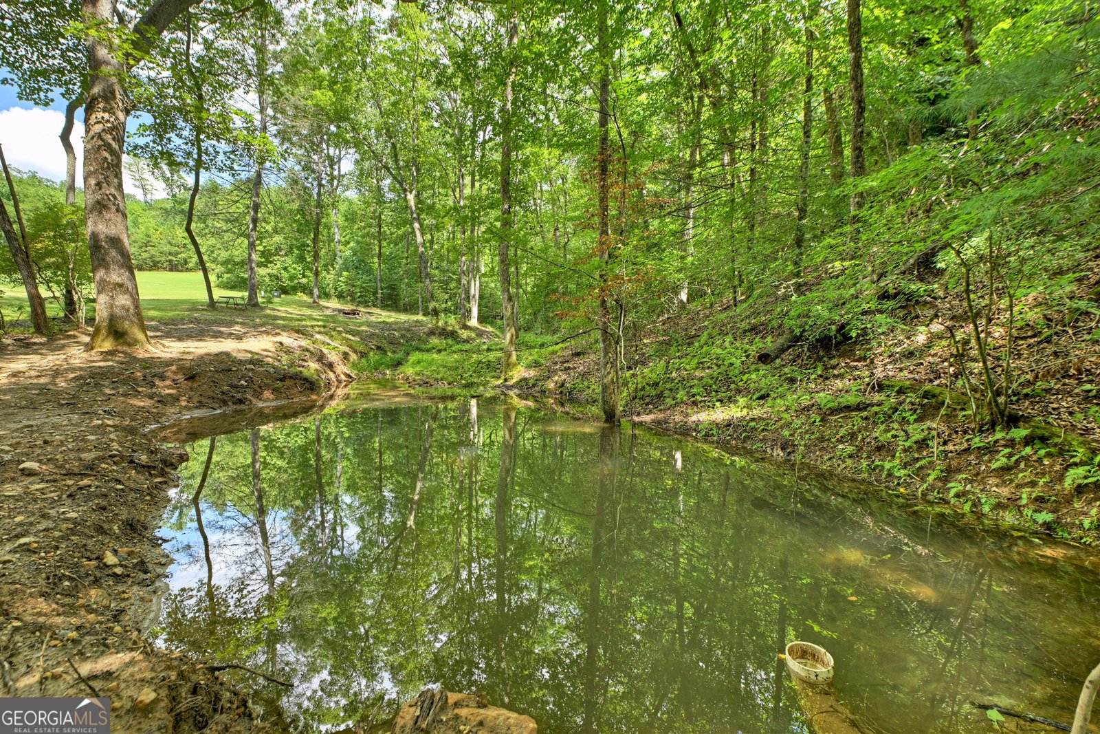785 Wehunt Road Blue Ridge - 5