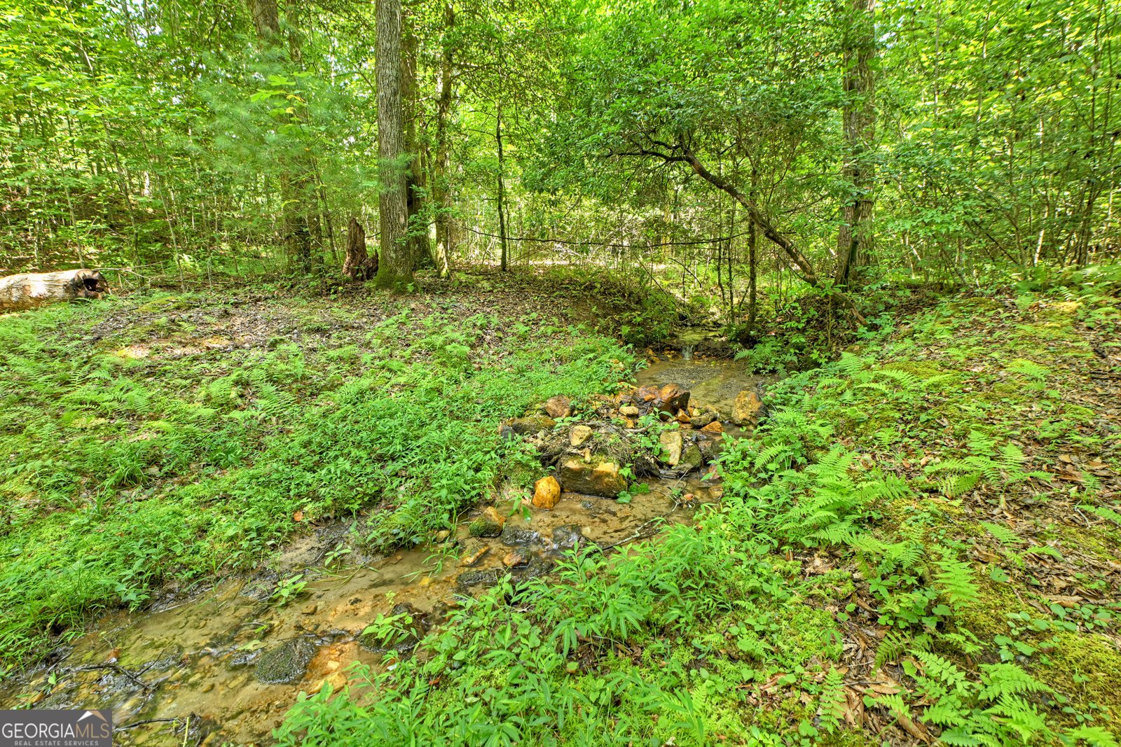 785 Wehunt Road Blue Ridge - 6
