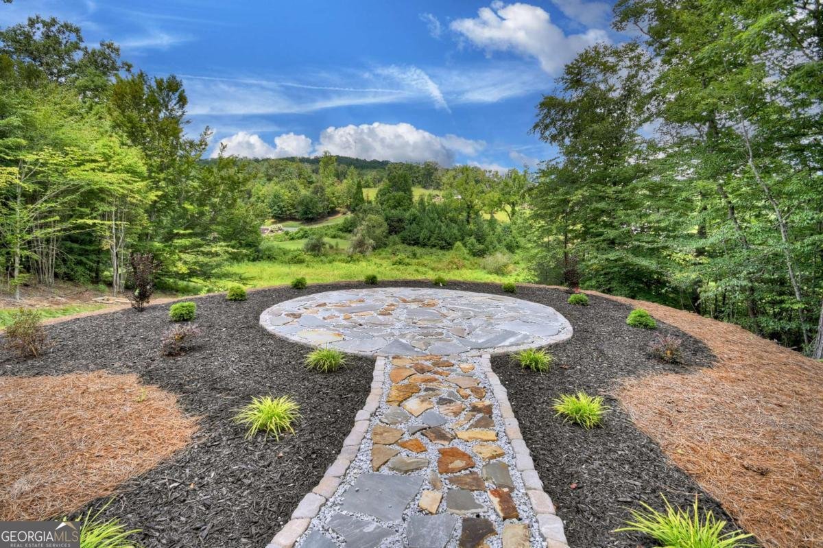 411 Amber Ridge Blue Ridge - 19