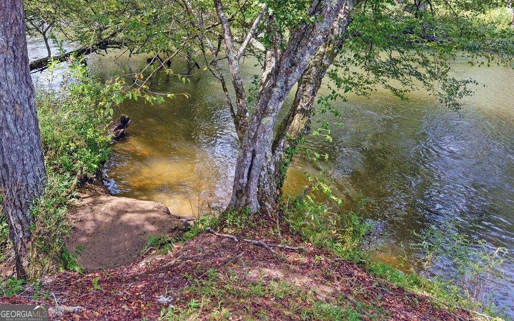 166 Dallas Lane Blue Ridge - 35