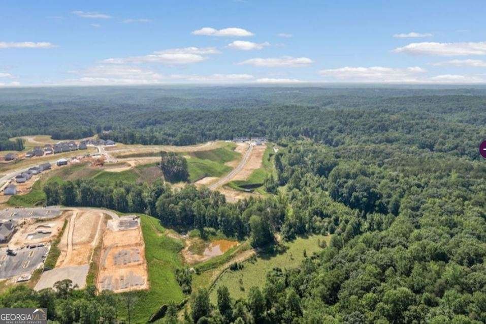 2857 Bullfrog Lane Lot 171 Gainesville - 25