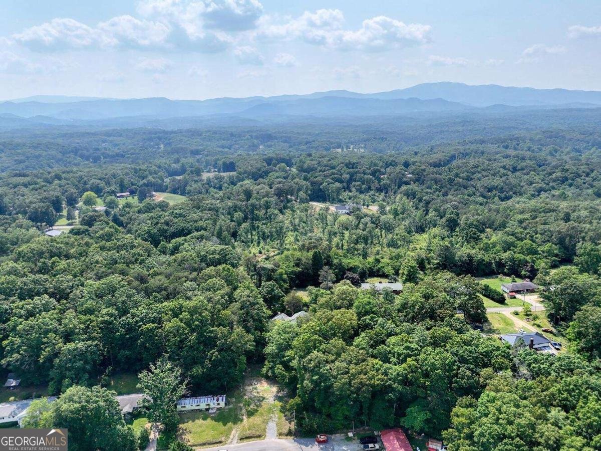 333 Lickskillet Road Blue Ridge - 38