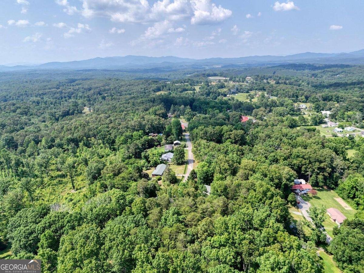 333 Lickskillet Road Blue Ridge - 39