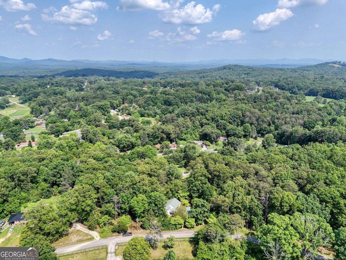 333 Lickskillet Road Blue Ridge - 40