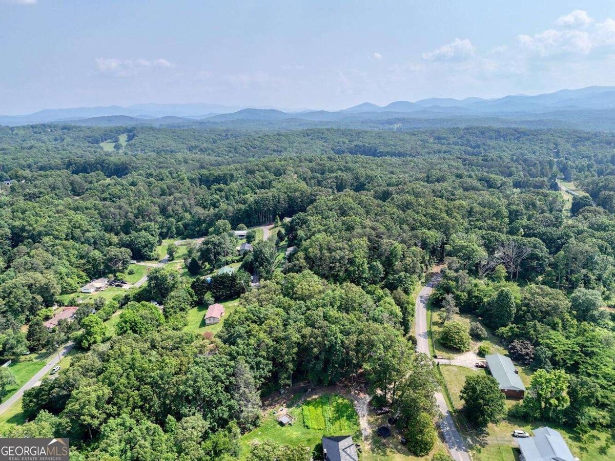 333 Lickskillet Road Blue Ridge - 41