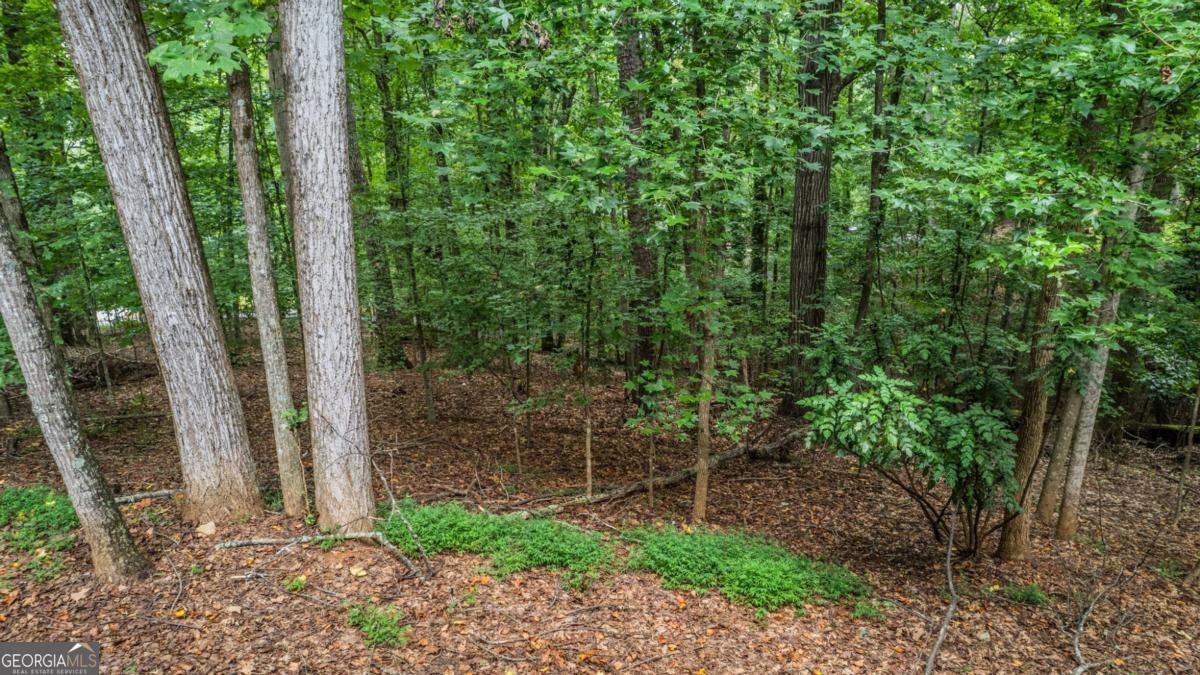 2436 Thompson MILL Road Gainesville - 22