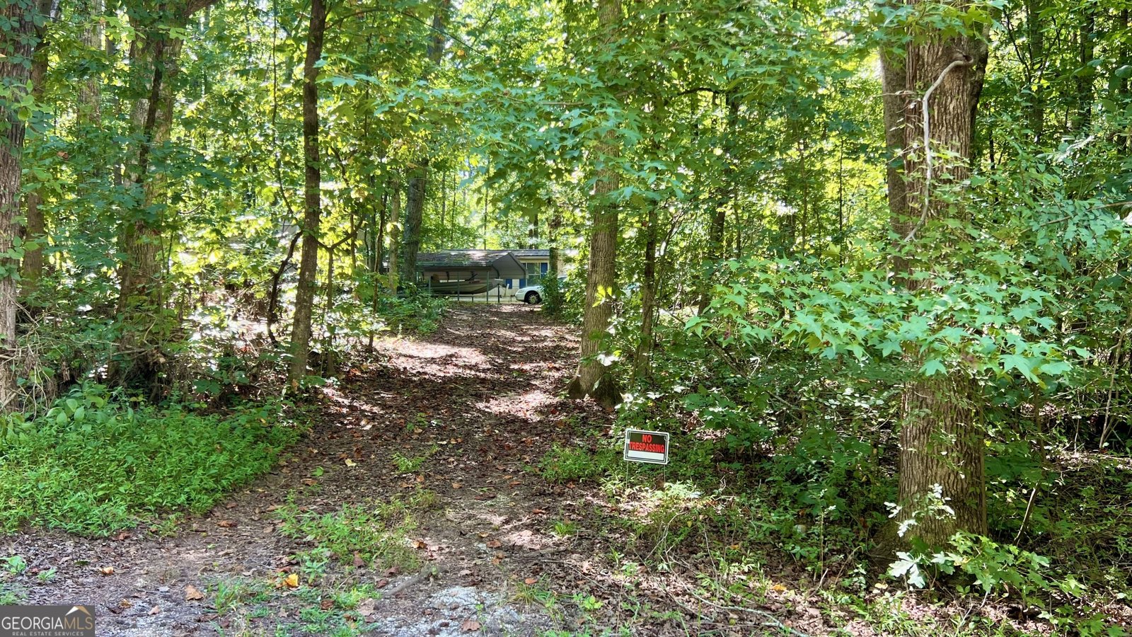 120 Eagles Nest Trail Ball Ground - 2