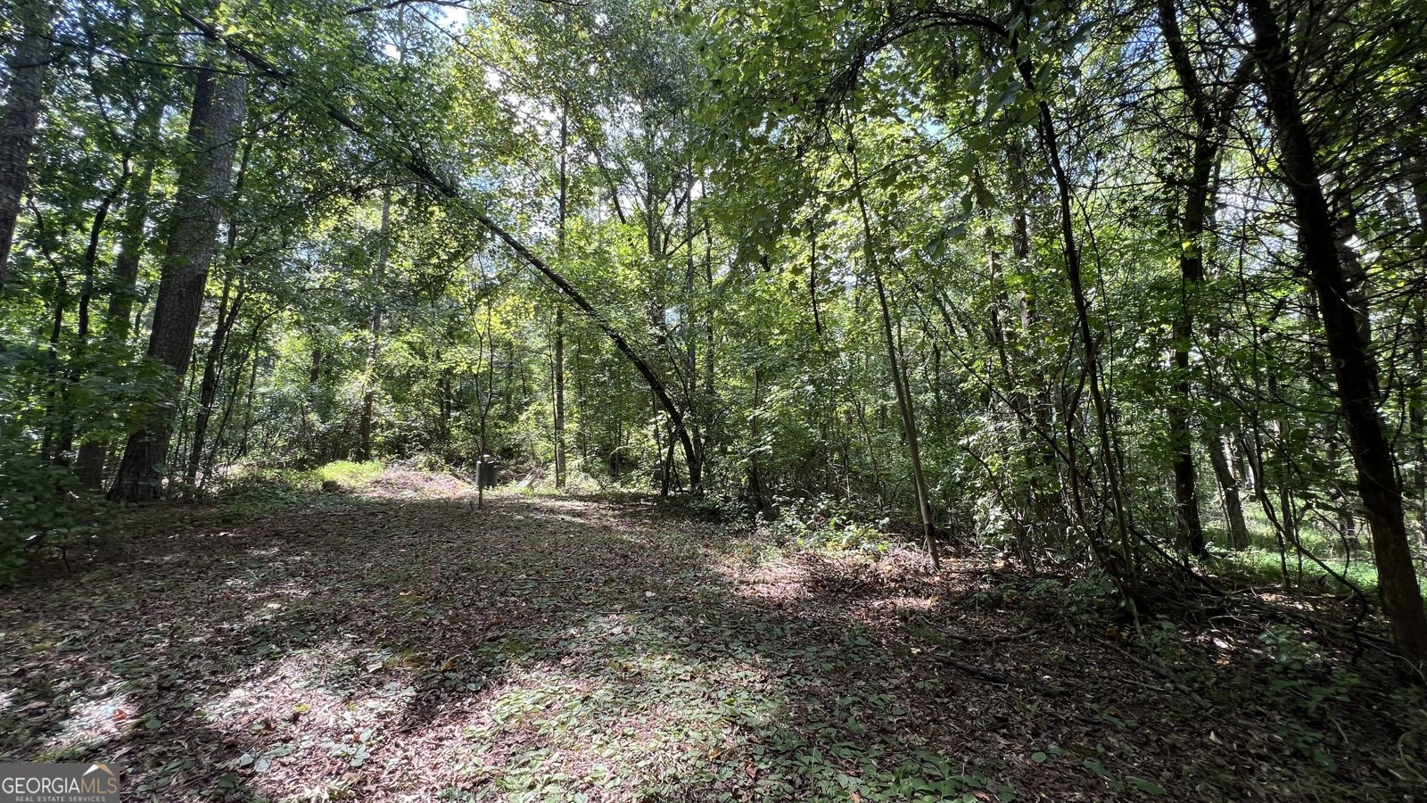 120 Eagles Nest Trail Ball Ground - 40