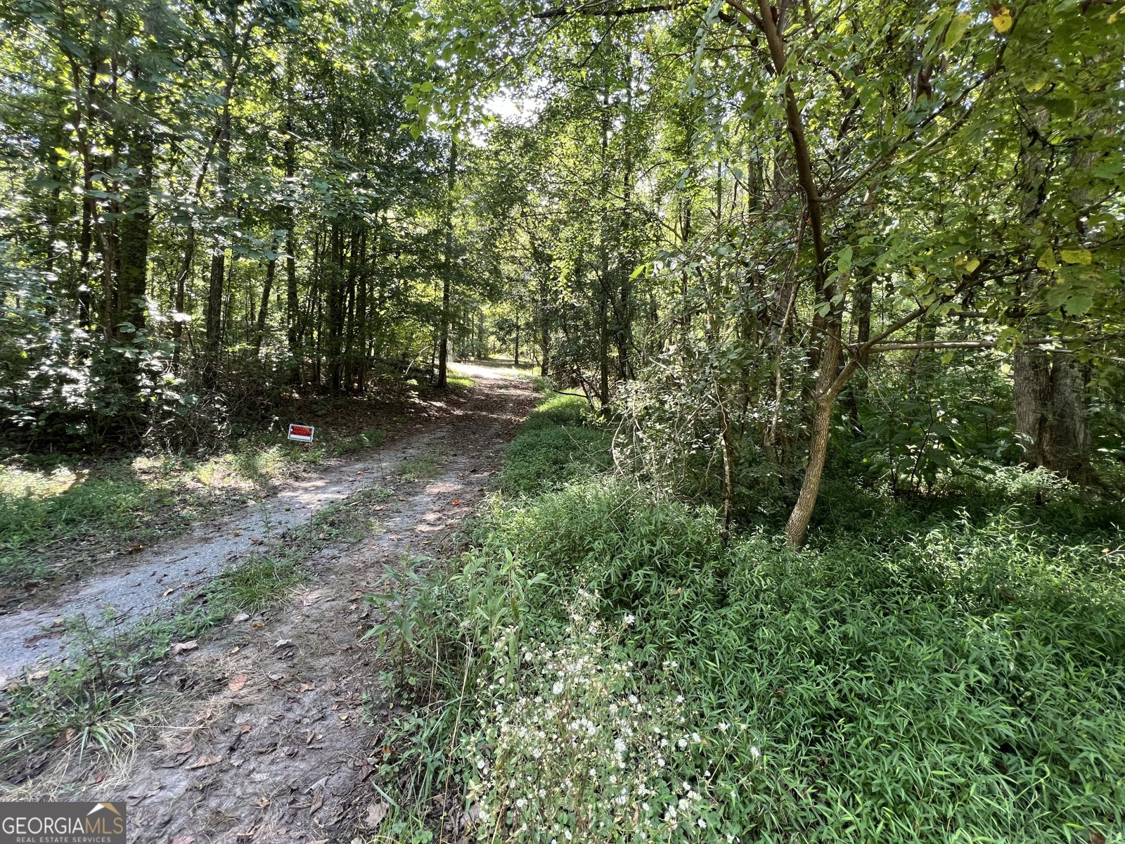 120 Eagles Nest Trail Ball Ground - 42
