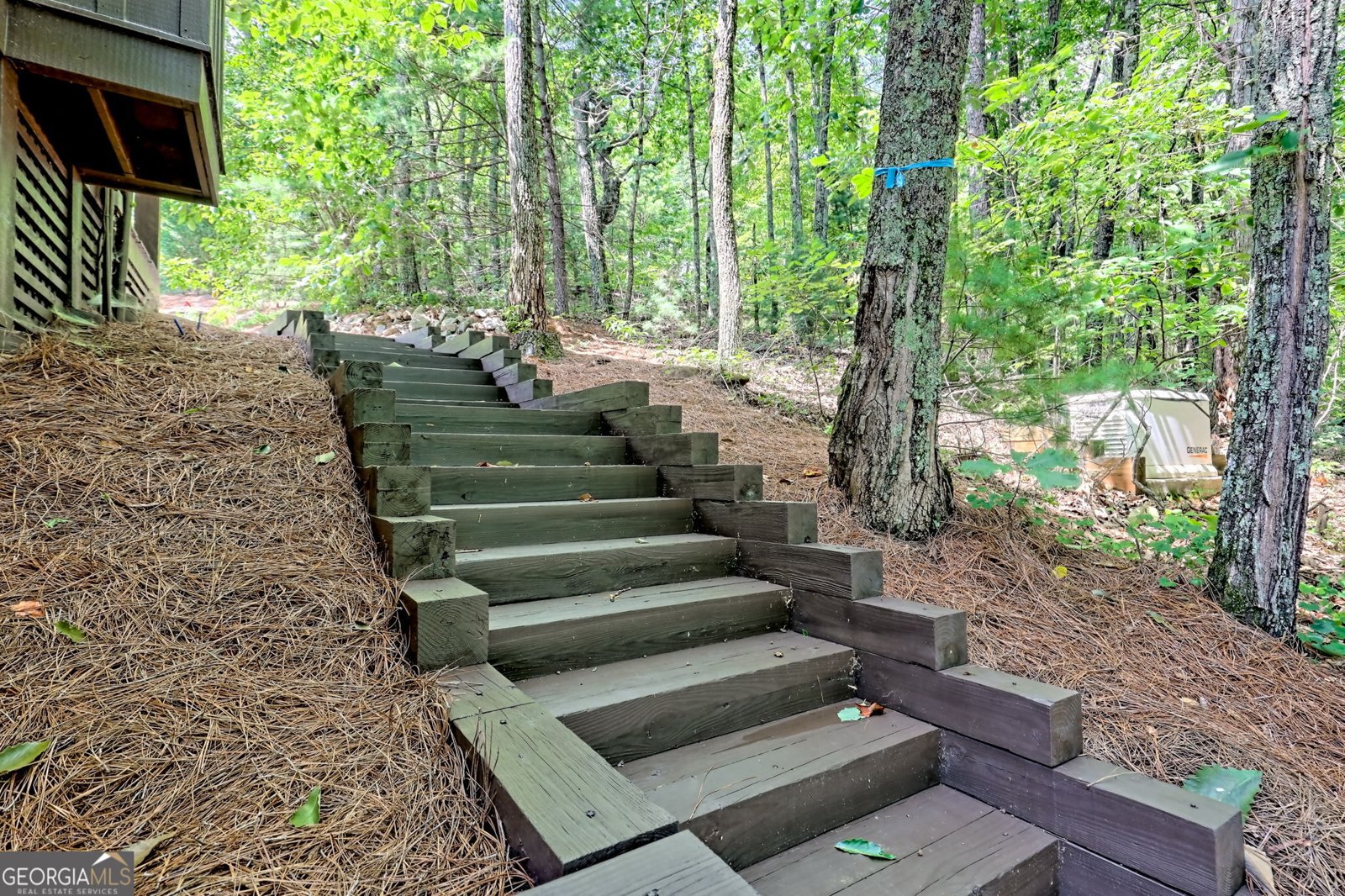 198 Clear View Trail Lakemont - 60